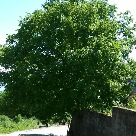 Апарт-отель Christina - Happy Days Karitsa (Larissa)