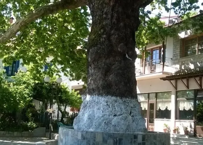 Christina - Happy Days Aparthotel